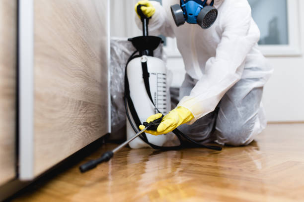 Flea Control Services in Country Homes, WA