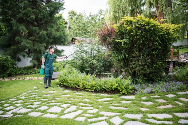Best Cockroach Control Services  in Country Homes, WA