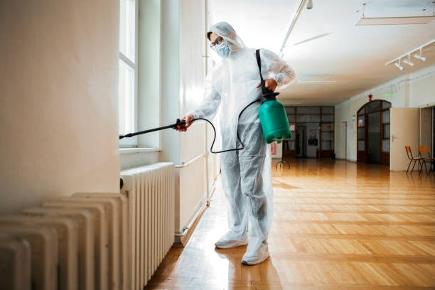 Best Rat Extermination Near Me  in Country Homes, WA