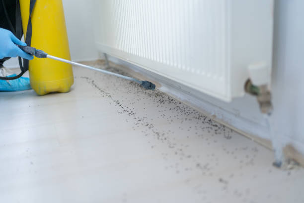  Country Homes, WA Pest Control Pros
